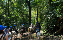 Ocean Ranch Park Eco Adventure Tours7