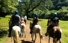 Ocean Ranch Park Eco Adventure Tours8