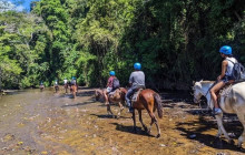Ocean Ranch Park Eco Adventure Tours10