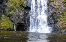 Ocean Ranch Park Eco Adventure Tours14