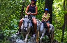 Ocean Ranch Park Eco Adventure Tours17