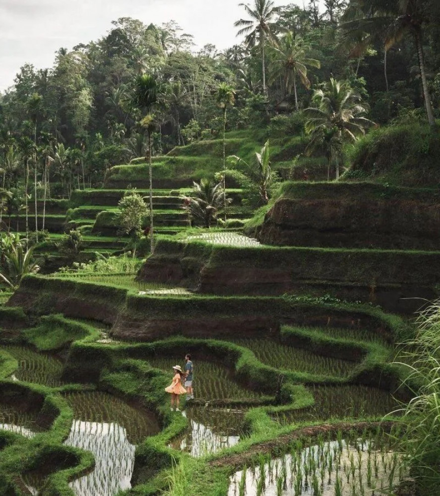 Ubud Tanah Lot Temple Tour