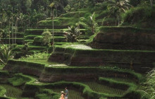 Bali Tour Destination1