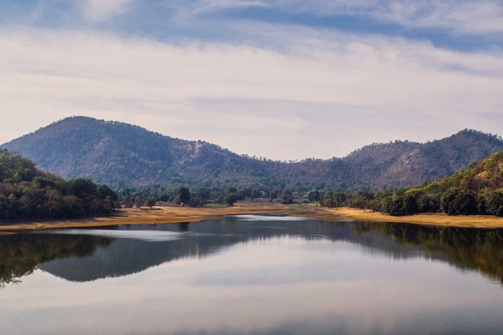 2 Day Jambughoda Wildlife & Tribal Tour from Vadodara