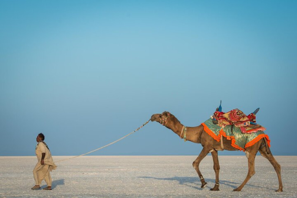 3 Day Tour Bhuj to White Rann of Kutch