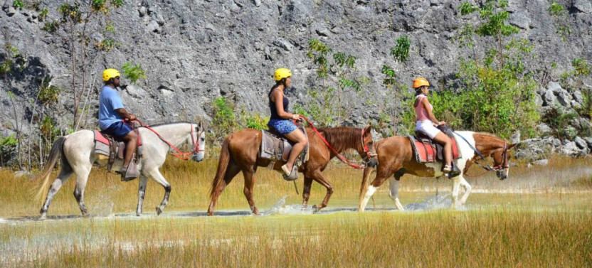 Horseback Riding VIP