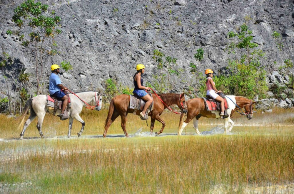 Horseback Riding VIP