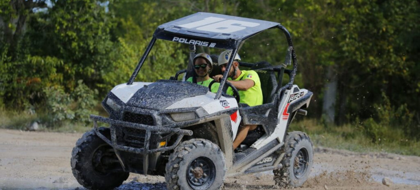 Polaris VIP