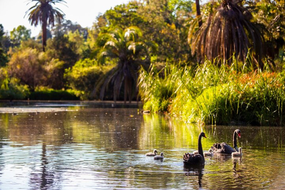Family Explorer Bus Tour at Royal Botanic Gardens Melbourne