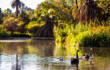 Royal Botanic Gardens Victoria1