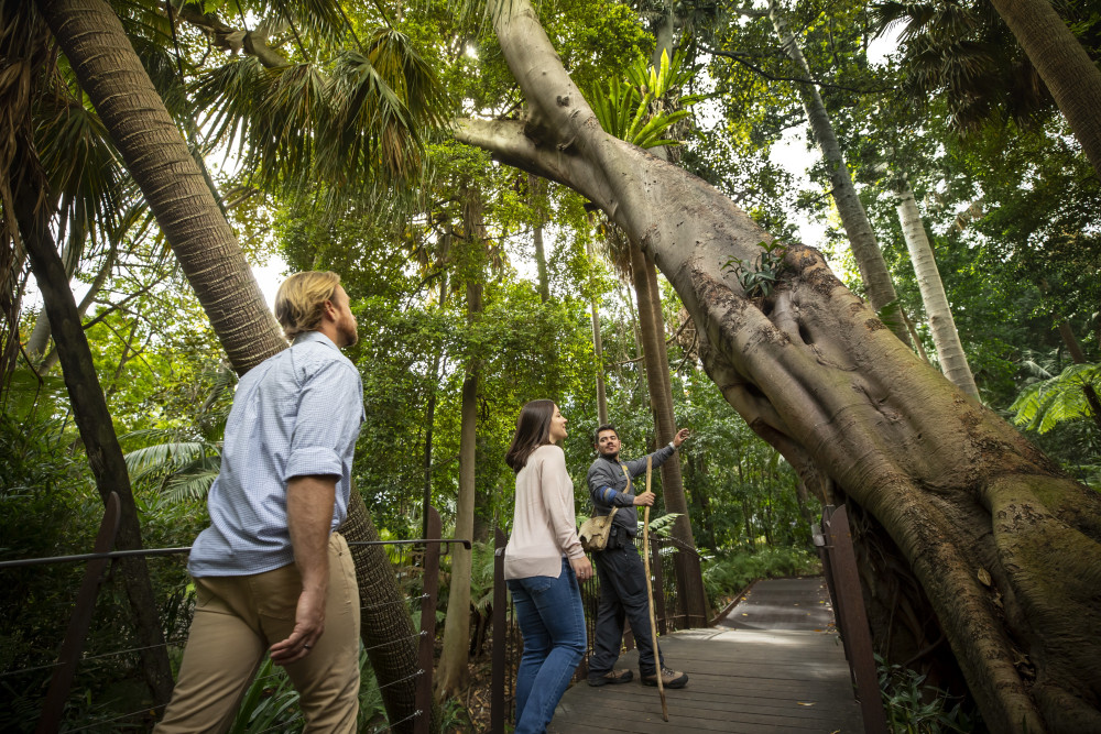 Aboriginal Heritage Walking Tour at Royal Botanic Gardens Melbourne