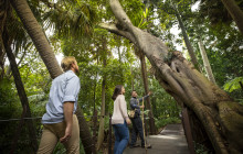 Royal Botanic Gardens Victoria1