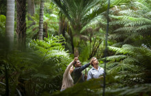 Royal Botanic Gardens Victoria2
