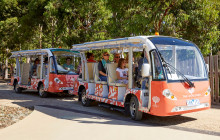 Royal Botanic Gardens Victoria1
