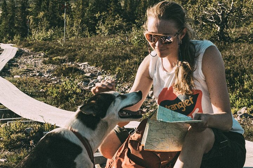 Guided Husky Hiking Experience in the Scenic Sälen Highlands