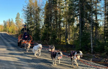 Lind Fjälläventyr AB8
