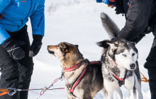 Lind Fjälläventyr AB1