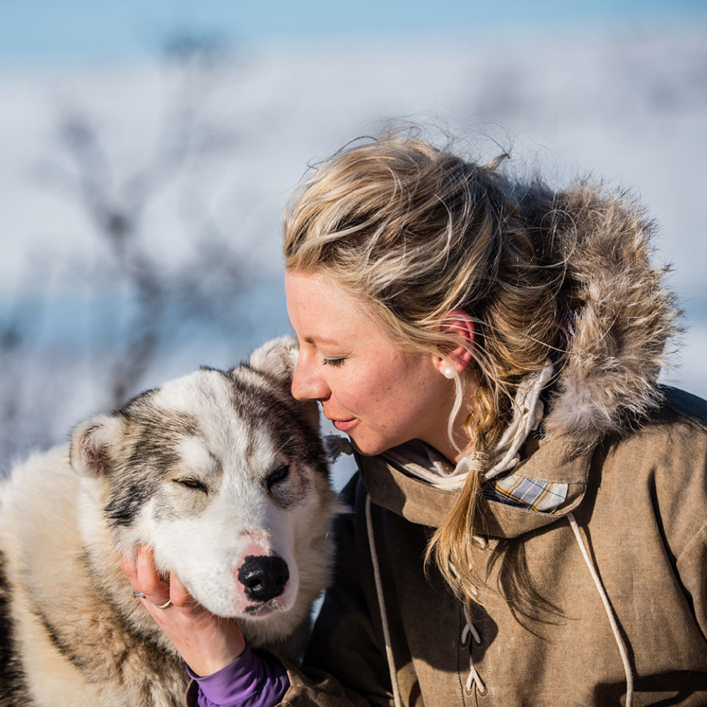 3-Day Dogsledding Adventure to Frozen Waterfalls in Fulufjället