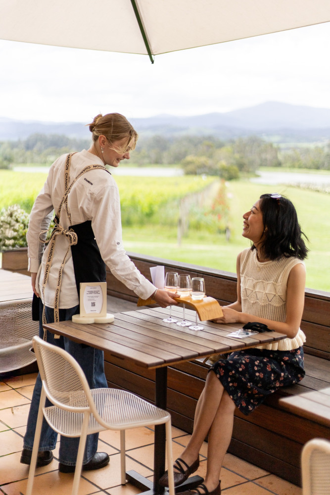 Red Route Hop-On Hop-Off Yarra Valley Wine Region from Melbourne