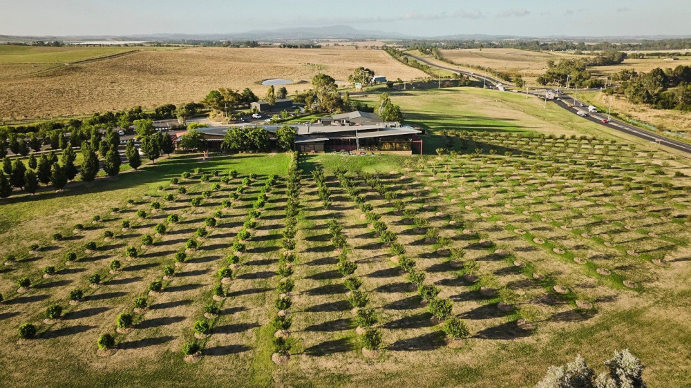 Green Route Hop-On Hop-Off Wine and Food transportation in Yarra Valley