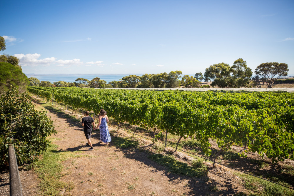 Blue Route Hop-On Hop-Off Wine and Food Bus on the Bellarine Peninsula
