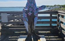 Boston Hidden Gems11