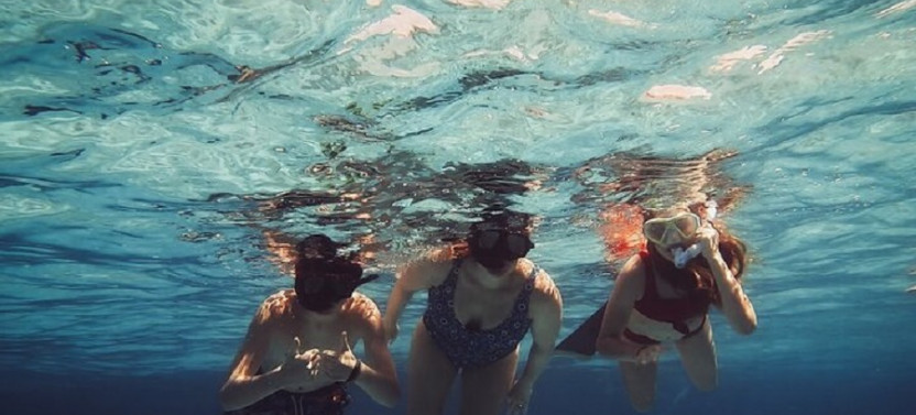 Acquarius Stingray City and Snorkel Tours