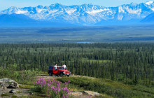 Denali Jeep Excursions13