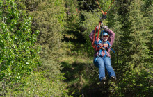 Denali Park Zipline6