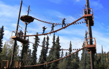 Denali Park Zipline7