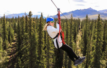 Denali Park Zipline8