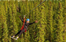 Denali Park Zipline10
