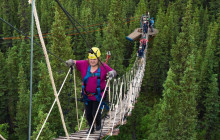Denali Park Zipline11
