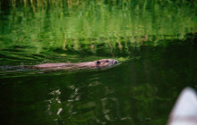 Skärgårdens Outdoor1