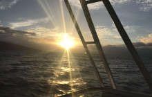 Kohala Divers13