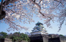 Beauty of Japan2