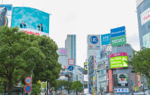 Beauty of Japan9