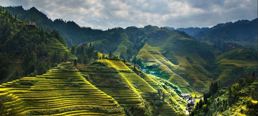 Private One Day Tour of Longji Terrace & Zhuang Village