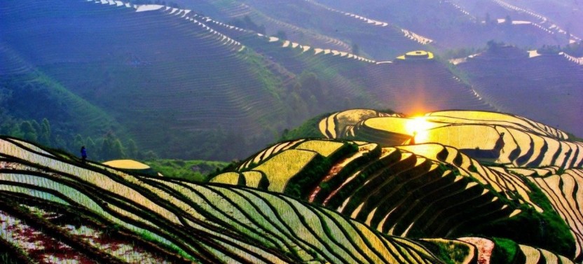 Private One Day Tour of Longji Terrace & Zhuang Village