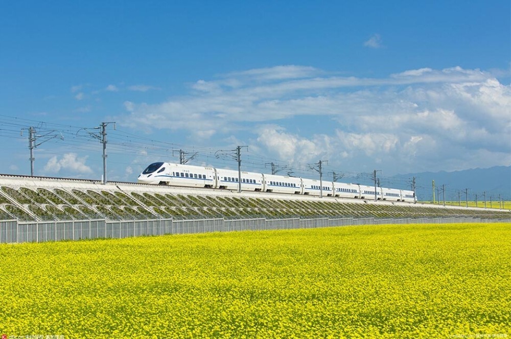 One Day Xian Private Tour from Chengdu by Bullet Train