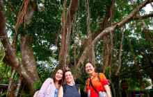 MagicalTrip18