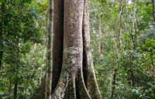 MagicalTrip39