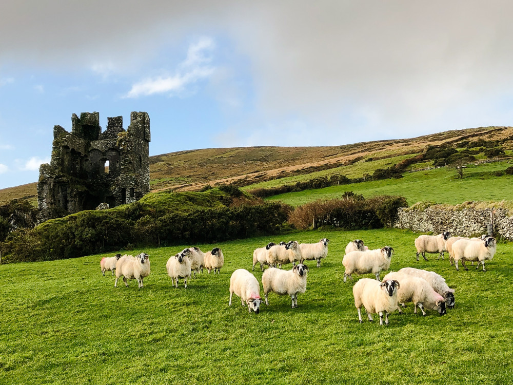 Private Tour of the Dingle Peninsula from Killarney