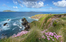 Dingle Darkroom5