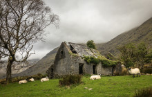 Dingle Darkroom2
