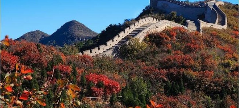 Private Half Day Mutianyu Great Wall Tour (No Shopping)