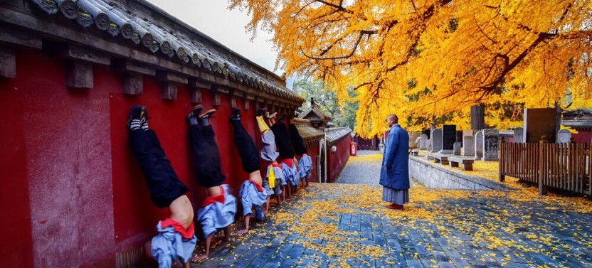 Best Luoyang Private One Day Tour
