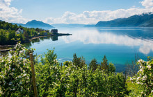Guided Fjord Tours AS3