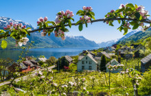 Guided Fjord Tours AS10