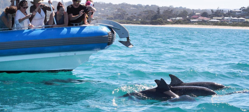 Southern Ocean Adventure
